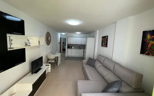 COZY INVESTMENT APARTMENT, SANTIAGO DEL TEIDE