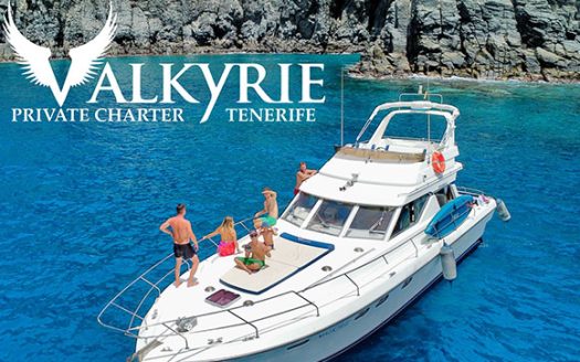 Valkyrie Charter