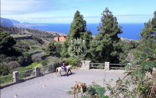 STUNNING RUSTIC PROPERTY, LA GUANCHA