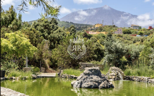 STUNNING RUSTIC PROPERTY, LA GUANCHA