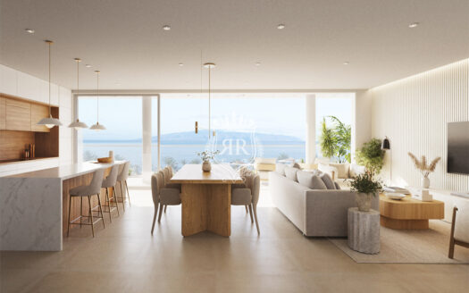 NEW PROJECT OF HOMES, PLAYA SAN JUAN